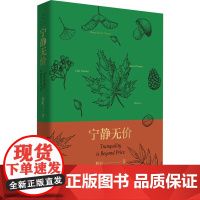 宁静无价 程虹 著 文学理论/文学评论与研究文学 正版图书籍 上海人民出版社