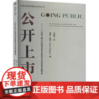 公开上市——一个内部人眼中的美国证券交易委员会和美国金融体系 (美)诺姆·钱普 著 沈国华 译 金融经管、励志