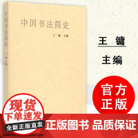 中国书法简史 王镛 中国书法史 美术简史 中国汉字书法美术史 美术书法专业本专科 高师高专教材 高等教育出版社