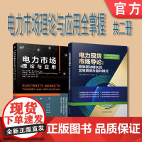 套装 正版 电力市场理论与应用全掌握 共2册 电力市场导论 信息驱动增长的交易策略与盈利模式 电力市场 理论与应