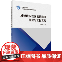 城镇供水管网系统模拟理论与工程实践