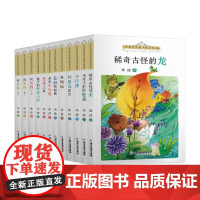 名家经典童话悦读系列:冰波系列