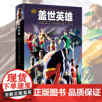 [赠精美明信片x5]盖世英雄 DC漫画 超级英雄挺身而出解决社会问题正义联盟超人蝙蝠侠神奇女侠经典绘本成人漫画书籍世图美