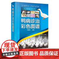 鸭病诊治彩色图谱 鸭病诊断防治及类似疾病鉴别实用指导书 鸭病治疗诊断书籍 鸭病预防书籍 兽医应用书籍 家禽常见病书籍 禽