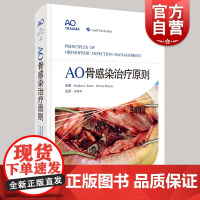 AO骨感染治疗原则 AO系列经典著作医源性感染上海科学技术出版社临床医学外科学 肌肉骨骼系统感染治疗