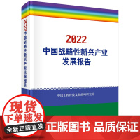 2022中国战略性新兴产业发展报告