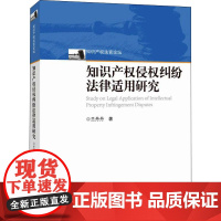 知识产权侵权纠纷法律适用研究 兰丹丹 著 民法社科 正版图书籍 知识产权出版社