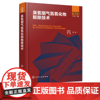 先进热能工程丛书 臭氧烟气氮氧化物脱除技术 臭氧脱硝技术应用书籍 臭氧低温氧化烟气NOx 超低排放控制技术 烟气治理应用