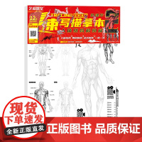 人体结构解剖篇 赵建华速写描摹本 艺叔课堂 人体结构 局部解剖 动态解析 人物速写基础入门 美术专业艺考联考培训教材