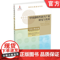 正版 中国战略性新兴产业研究与发展 气体分离设备 杭州制氧机集团股份有限公司 出版基金项目