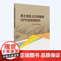 黄土地区土石坝病害GPR法探测研究 吕高,刘乃飞 著 著 工业技术其它专业科技 正版图书籍 中国石化出版社