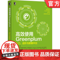 正版 高效使用Greenplum入门 进阶与数据中台 王春波 性能测试 分析函数 ETL工具箱 运维管理监控 优化