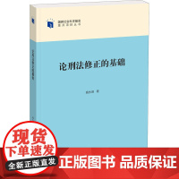 论刑法修正的基础 高永明 著 法学理论社科 正版图书籍 知识产权出版社