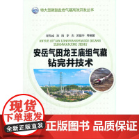 [正版书籍]安岳气田龙王庙组气藏钻完井技术