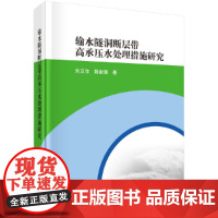 [正版书籍]输水隧洞断层带高承压水处理措施研究