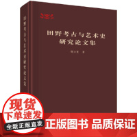 [正版书籍]田野考古与艺术史研究论文集