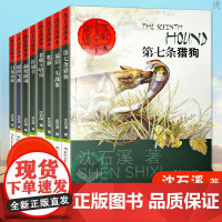 沈石溪动物小说全集画本全套8册 后一头战象斑羚飞渡 小学生三四五六年级课外书阅读 系列作品精品集