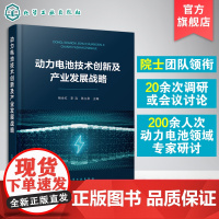 正版 动力电池技术创新及产业发展战略 国内外动力电池现状与发展趋势 锂硫电池 全固态电池 动力电池研究生产科技工作者应用