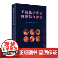 下消化道疾病内镜综合诊治 急诊胃与大肠十二指肠食管癌活检胃炎常见病内镜诊断图谱教程人民卫生出版社实用消化系统内科学书籍