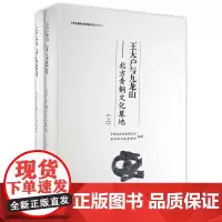 [正版书籍]王大户与九龙山——北方青铜文化墓地(上、下册)