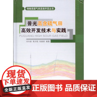 [正版书籍]普光高含硫气田高效开发技术与实践
