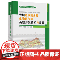 [正版书籍]元坝超深高含硫生物礁气田高效开发技术与实践