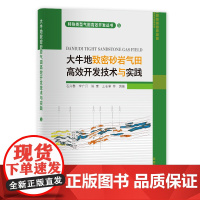 [正版书籍]大牛地致密砂岩气田高效开发技术与实践