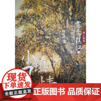 [正版书籍]灵秀镇江.5:小镇风情写生创作展作品集