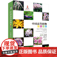 [正版书籍]中国高等植物彩色图鉴 第六卷 被子植物 岩梅科—茄科