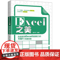 [正版书籍]Excel之美:迅速提高Excel数据能力的100个关键技能