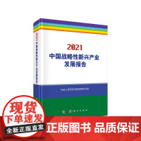 2021中国战略性新兴产业发展报告