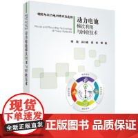 [正版书籍]动力电池梯次利用与回收技术