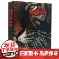 [正版书籍]AN ENCYCLOPAEDIA OF TIGERS(虎典)