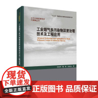 [正版书籍]工业烟气多污染物深度治理技术及工程应用