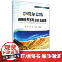 [正版书籍]准噶尔盆地南缘侏罗系地质剖面图集