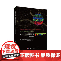[正版书籍]从光子到神经元——光、成像和视觉