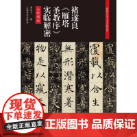 [正版书籍]碑帖名品全本实临系列——褚遂良《雁塔圣教序》实临解密