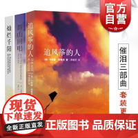 胡赛尼经典作品套装系列共3册 追风筝的人/群山回唱/灿烂千阳 外国文学历史情感书籍 上海人民出版社世纪出版