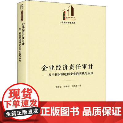 企业经济责任审计——基于新时期电网企业的实践与应用 王鑫根,张晓利,宋志波 著 金融投资专业科技 正版图书籍