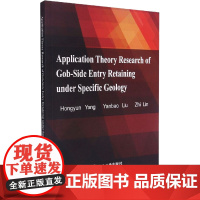 特定地质条件沿空留巷应用理论研究 杨红运,刘延保,林志 著 冶金工业专业科技 正版图书籍 冶金工业出版社