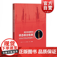 高压电缆现场状态综合检测百问百答及应用案例