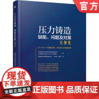 正版 压力铸造缺陷问题及对策实例集 实例照片 缺陷成分 组织分析 技术资料 产生原因 解决对策 典型实例