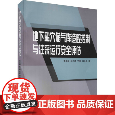 地下盐穴储气库造腔控制与注采运行安全评估 王汉鹏 等 著 石油 天然气工业专业科技 正版图书籍 山东大学出版社