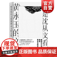 要是沈从文看到黄永玉的文章 张新颖著上海文艺出版社鲁迅文学奖文津图书奖得主张新颖随笔作品围绕黄永玉小说无愁河的浪荡汉子