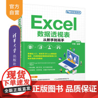 [正版]Excel数据透视表从新手到高手 宋翔 清华大学出版社 表处理软件Excel计算机办公软件