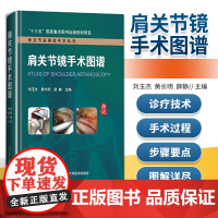 正版 肩关节镜手术图谱 北京大学医学出版社