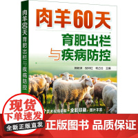 肉羊60天育肥出栏与疾病防控 郎跃深,倪印红,何占仕 编 畜牧/养殖专业科技 正版图书籍 化学工业出版社