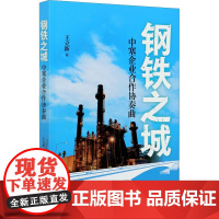 钢铁之城 中塞企业合作协奏曲 王立新 著 纪实/报告文学经管、励志 正版图书籍 外语教学与研究出版社