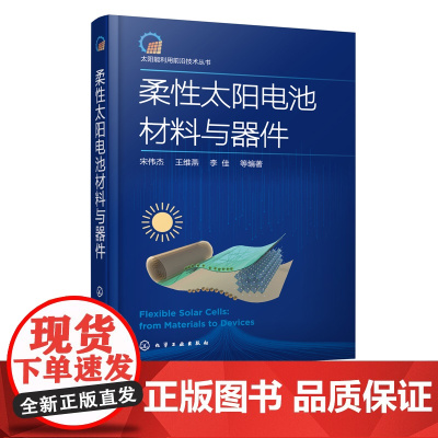 太阳能利用前沿技术丛书 柔性太阳电池材料与器件 柔性太阳电池材料 材料结构工艺市场 材料物理化学动力能源专业研究生学习参