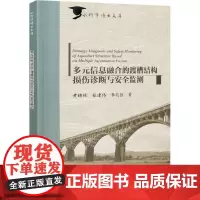 多元信息融合的渡槽结构损伤诊断与安全监测 黄锦林,张建伟,李兆恒 著 建筑/水利(新)专业科技 正版图书籍